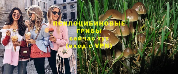 ГАЛЛЮЦИНОГЕННЫЕ ГРИБЫ Баксан