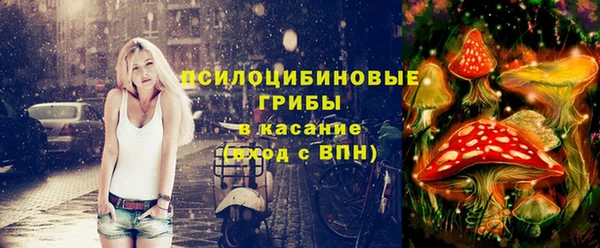 первитин Балахна