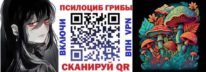 Галлюциногенные грибы Psilocybe Лесосибирск